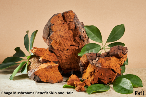 Chaga mushrooms benefit skin and hair